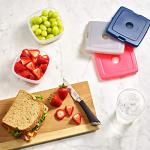 Fit & Fresh 4 Pack Reusable Ice Packs