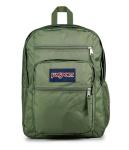 JanSport Cargo Green Laptop Backpack with Sleeves