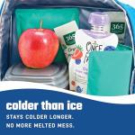 Fit & Fresh Reusable Ice Packs 2 Pack