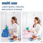 Fit & Fresh Reusable Ice Packs 2 Pack