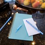 BIC Round Stic Xtra Life Pens - 240 Pack