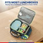 Dinosaur Kids Lunch Bag with Water Bottle Holder