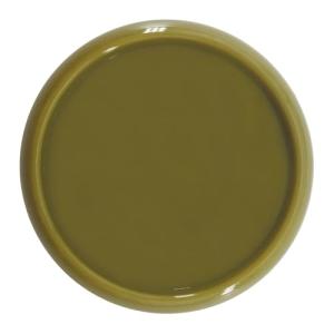 100PCS Green Discbound Expansion Discs for Planners