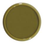 100PCS Green Discbound Expansion Discs for Planners