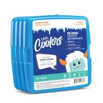 Fit + Fresh Slim Ice Packs 4 Pack