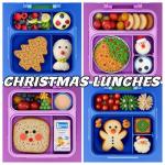 HAIXIN Insulated Bento Box for Kids - Blue