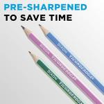 Ticonderoga Striped Wood Pencils, Pack of 10