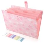 SKYDUE Expanding File Folder with 5 Pockets, Accordion File Organizer,Portable Receipt Paper Documents Organizer,Letter Size Filing Folder School Office Supplies,Pink