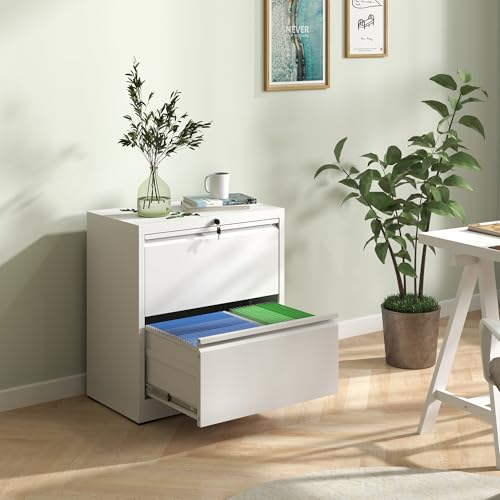 BIZOEIRON 2 Drawer Lateral File Cabinet with Lock, 26.8" Wide Metal Filing Cabinets for Home Office, Steel Storage File Cabinet for Letter/Legal/F4/A4 Size with Hanging Bars, Assembly Required(White)