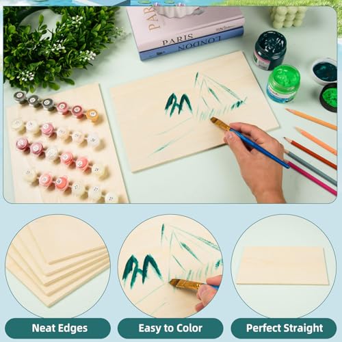 12 Pack 10.7 x 7 x 1/4 Inch-6mm Thick Basswood Sheets for Crafts Unfinished Plywood Sheets Rectangular Wood Panel Boards for DIY Laser Project, Wood Burning, Engraving, Architectural Models, Staining