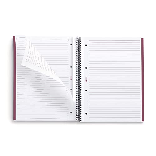 Miquelrius - Notebook A4 The Original Colors, 80 Sheets of 90 g/m² and 1 Colour Strip, Horizontal Ruled 7 mm, 4 Drills, Hardcover Laminated Cardboard, Sand Colour