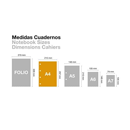 Miquelrius - Notebook A4 The Original Colors, 80 Sheets of 90 g/m² and 1 Colour Strip, Horizontal Ruled 7 mm, 4 Drills, Hardcover Laminated Cardboard, Sand Colour