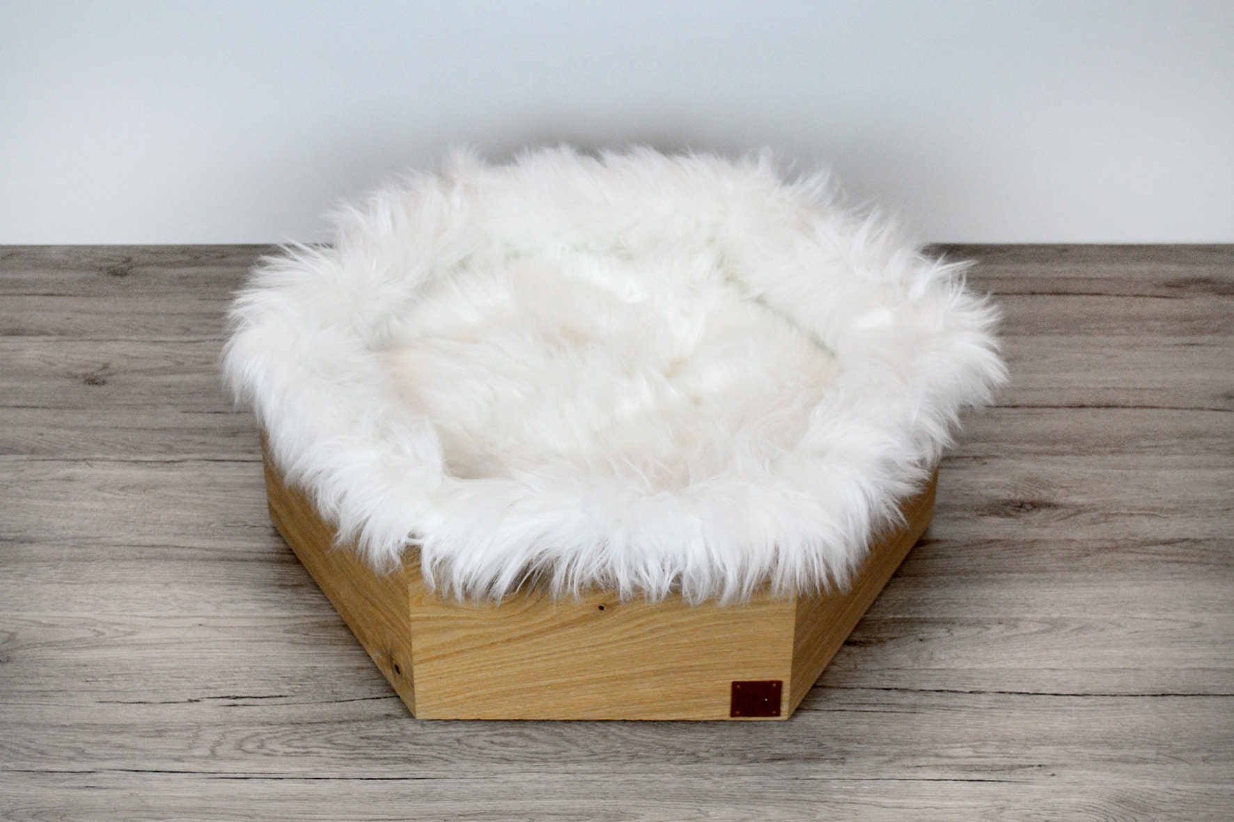 Design wooden kennel for dogs and cats