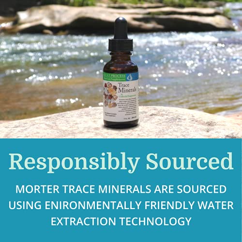 Morter Trace Minerals in Colloidal Suspension (6 Pack) Morter HealthSystem Best Process Alkaline — Nutrient Dense Trace Elements, Fulvic Minerals & Amino Acids