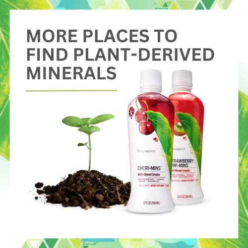Majestic Earth Plant DERIVED Minerals - 32 FL OZ, 4 Pack