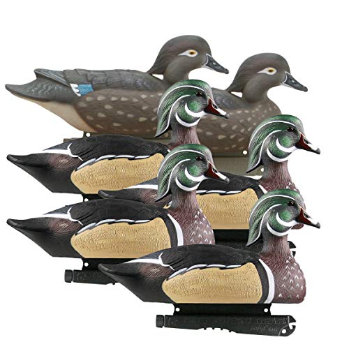Avery Life-Size Wood Ducks (1/2 Dozen)