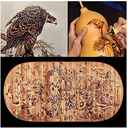 Wood Burning Kit, English Panel 60W Pyography Wood Burning Tool Kit Used As Wood Carving Engraver with 2 Wood Burning  Stencil Pen 20pcs Pyrography Wire Tips for Wood Leather and Gourd (Dual Pen A)
