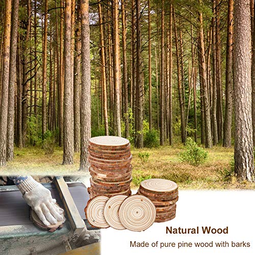 50Pcs 2.4"-2.8" Natural Wooden Slices,Colovis Unfinished Wood Circles with Holes Tree Bark Round Log Discs DIY Crafts Hanging Ornaments (50 Pcs, Natural Wood)