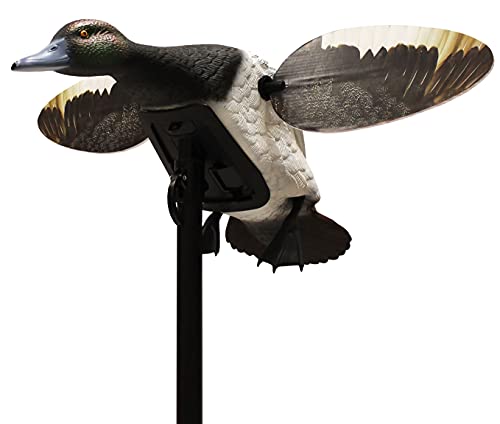 MOJO Elite Series Diver Spinning Wing Duck Decoy, Duck Hunting Gear and Accessories, Bluebill