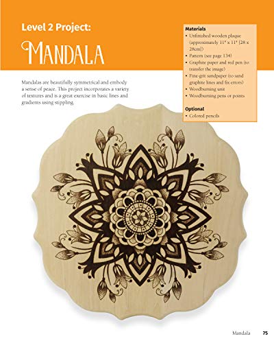 Woodburning Projects and Patterns for Beginners (Fox Chapel Publishing) 17 Skill-Building Projects, Step-by-Step Instructions, Full-Size Templates, Techniques, Tools, Safety, Troubleshooting, and More