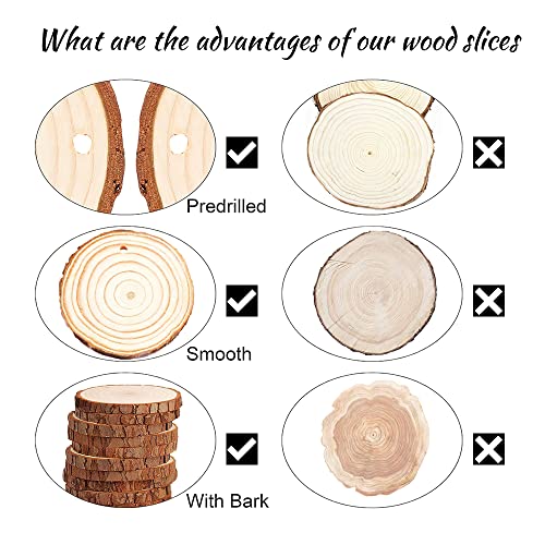 Unfinished Natural Wood Slices 30 Pcs