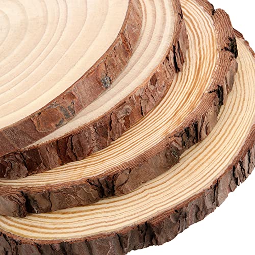 JEUIHAU 8 PCS 8-9 Inches Natural Wood Slices, Unfinished Predrilled Wooden Circles Tree Bark Slice, Blank Wooden Log Circles for DIY Crafts, Arts Wood Slices, Christmas Ornaments