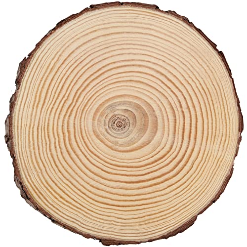 JEUIHAU 8 PCS 8-9 Inches Natural Wood Slices, Unfinished Predrilled Wooden Circles Tree Bark Slice, Blank Wooden Log Circles for DIY Crafts, Arts Wood Slices, Christmas Ornaments