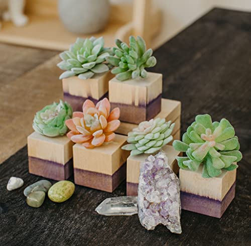 Unfinished Wood Craft Cubes 1-1/2 inch, Pack of 36 Small Wooden Blocks to Decorate, Wooden Cubes for Crafts and Décor, by Woodpeckers