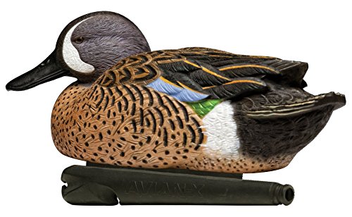 Avian-X Topflight Blue-Winged Teal Durable Ultra Realistic Floating Hunting Duck Decoys, Pack of 6, AVX8080