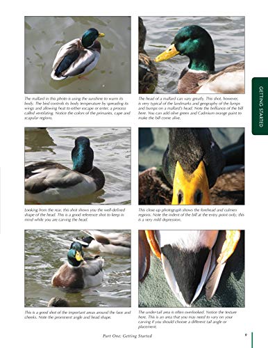 Duck Decoys: Classic Carving Projects Made Easy (Fox Chapel Publishing) Carve a Traditional Mallard Drake from Start-to-Finish, including Patterns, Paint Swatches, and Expert Step-by-Step Instruction
