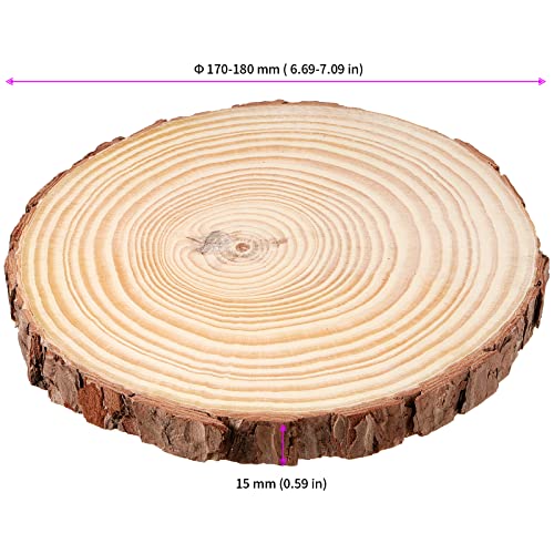 JEUIHAU 10 PCS 6.7-7 Inches Natural Unfinished Wood Slices, Round Wooden Tree Bark Discs, Wooden Circles for DIY Crafts, Christmas, Rustic Wedding Ornaments