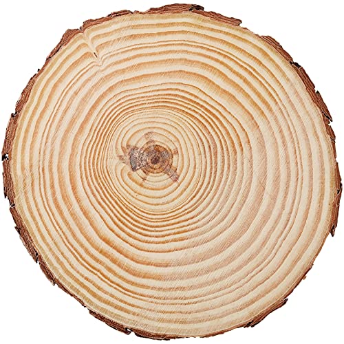 JEUIHAU 10 PCS 6.7-7 Inches Natural Unfinished Wood Slices, Round Wooden Tree Bark Discs, Wooden Circles for DIY Crafts, Christmas, Rustic Wedding Ornaments