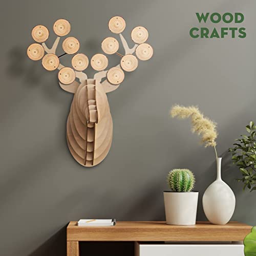 Natural Wood Slices - Wayin Craft Wood Kit Unfinished Predrilled with Hole Wooden Circles Tree Bark Round Log Discs for Arts Wood Slices Christmas Ornaments DIY Crafts (27 Pcs About 2.4 Inches)
