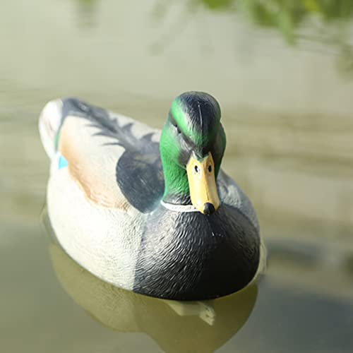 RioRand Highly Realistic Plastic Duck Decoys Hunting Decor Field Mallards Male(Big)