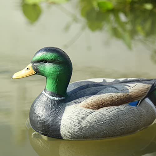 RioRand Highly Realistic Plastic Duck Decoys Hunting Decor Field Mallards Male(Big)