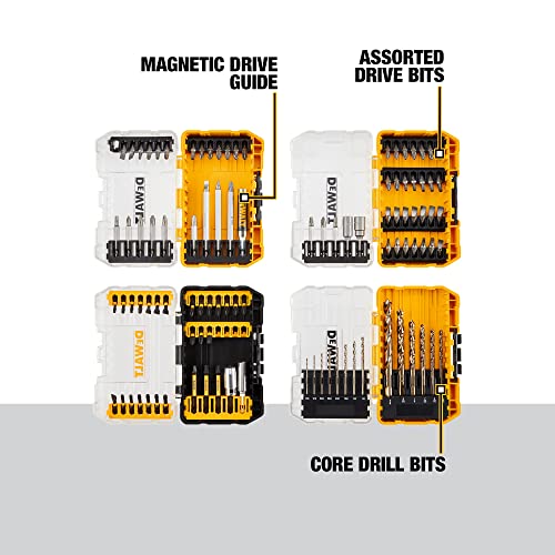 DEWALT Mechanics Tools Kit and Socket Set, 168-Piece (DWMT73803) & Screwdriver Bit Set / Drill Bit Set, 100-Piece (DWA2FTS100)