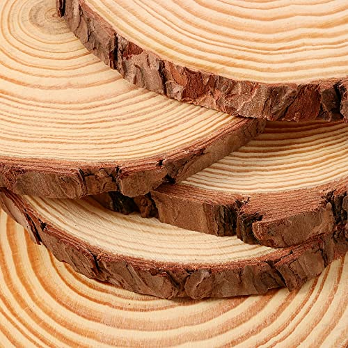JEUIHAU 10 PCS 5.9-6.3 Inches Natural Unfinished Wood Slices, Round Wooden Tree Bark Discs, Wooden Circles for DIY Crafts, Christmas, Rustic Wedding Ornaments