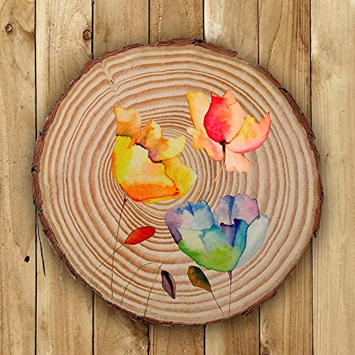 JEUIHAU 10 PCS 5.9-6.3 Inches Natural Unfinished Wood Slices, Round Wooden Tree Bark Discs, Wooden Circles for DIY Crafts, Christmas, Rustic Wedding Ornaments