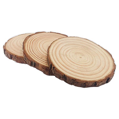 William Craft Unfinished Natural Wood Slices 12 Pcs 3.5-4 inch Craft Wood kit Circles Crafts Christmas Ornaments DIY Crafts with Bark for Crafts Rustic Wedding Decoration (3.5-4inch)