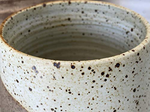 Terra Firma 12oz Ceramic Coffee Mug