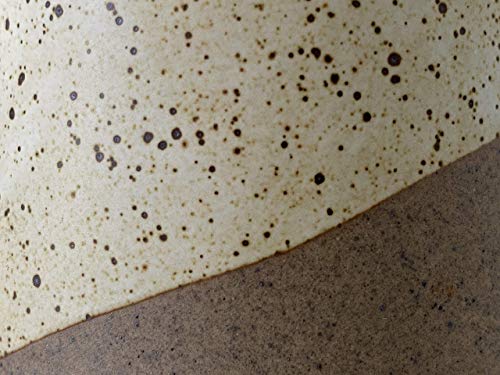 Terra Firma 12oz Ceramic Coffee Mug