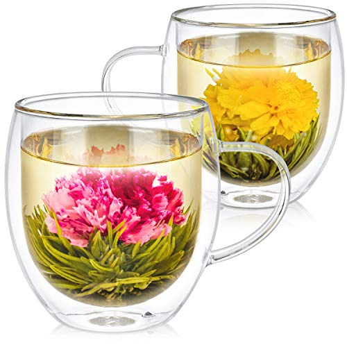 Oversized Insulated Borosilicate Glass Mug Set