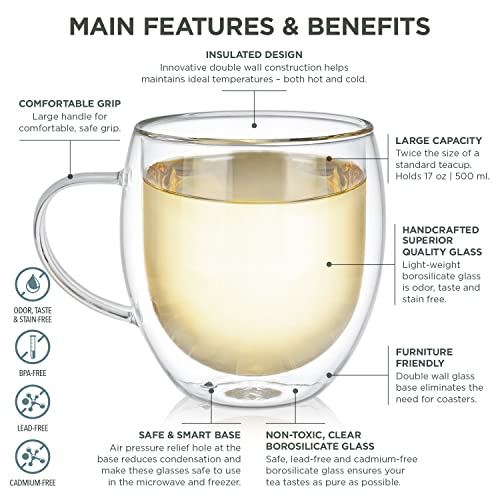 Oversized Insulated Borosilicate Glass Mug Set