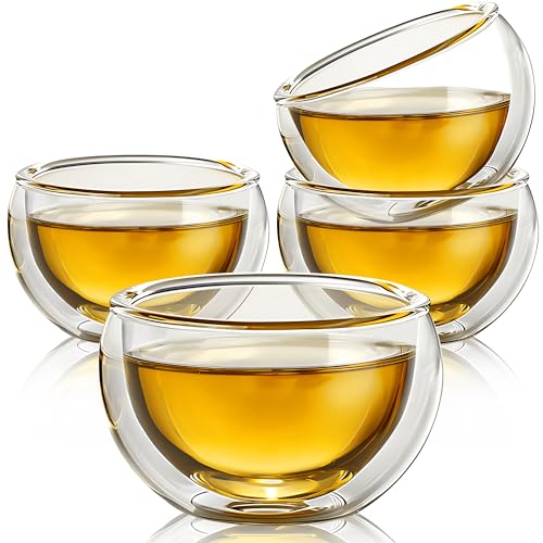 Set of 4 Insulated Borosilicate Tea Cups