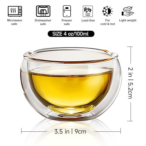 Set of 4 Insulated Borosilicate Tea Cups