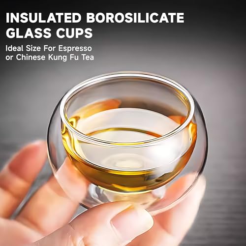 Set of 4 Insulated Borosilicate Tea Cups