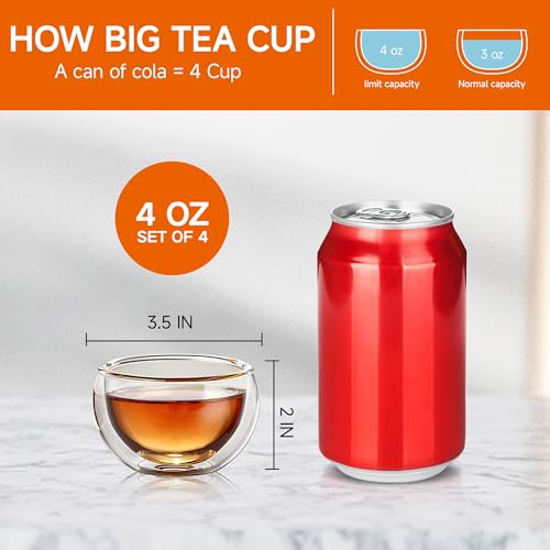Set of 4 Insulated Borosilicate Tea Cups