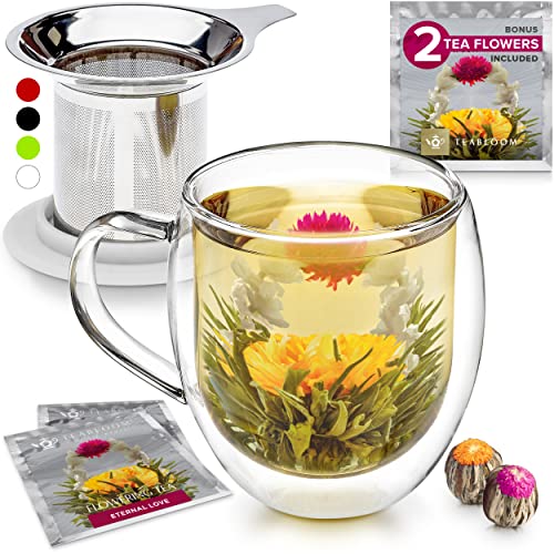 Double-Wall Glass Mug with Stainless Steel Infuser