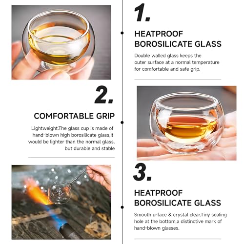 Set of 4 Insulated Borosilicate Tea Cups