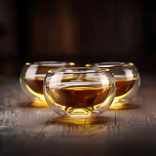 Set of 4 Insulated Borosilicate Tea Cups